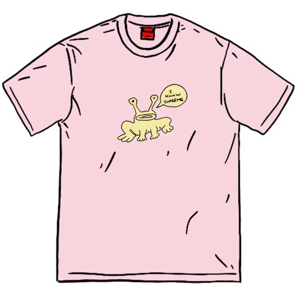 EUC Men’s Size Large Supreme X Daniel Johnson Frog Print T-shirt In Light Pink - Picture 1 of 10